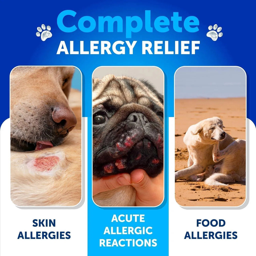 Artullano Itch Relief Allergy Immune Treats from MotivePets for pet comfort, care and everyday use