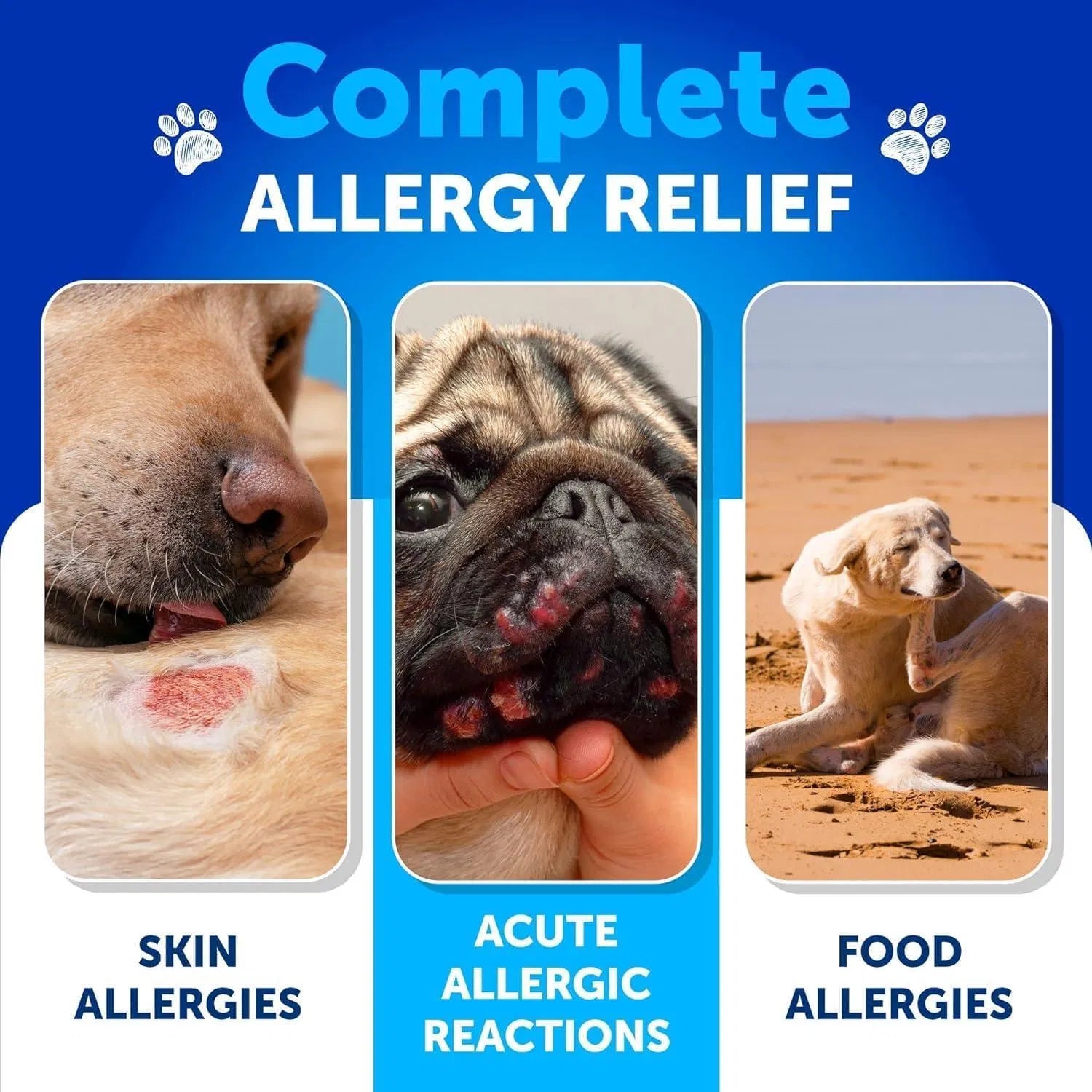 Artullano Itch Relief Allergy Immune Treats from MotivePets for pet comfort, care and everyday use